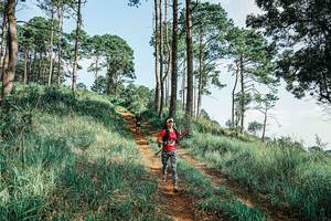 BIB: 
                            <button type="button" onclick="openModal(25675162)" class="btn btn-primary btn-sm float-right btn-popup" data-toggle="modal" data-target=".modal-high-quality">
                        <i class="fas fa-shopping-cart"></i> Add to Cart
                    </button>
                                            <button type="button" onclick="isThisMe(25675162, true)" class="btn btn-success btn-sm float-right btn-popup btn-isme hidden" data-toggle="tooltip" data-placement="bottom" title="นี่คือรูปของคุณใช่ไหม คลิกที่นี่เพื่อเอาเข้าอัลบั้ม">
                        <i class="fas fa-plus"></i> Add to album
                    </button>
                    <button type="button" onclick="isThisMe(25675162, false)" class="btn btn-warning btn-sm float-right btn-popup btn-isnotme hidden">
                        <i class="fas fa-ban"></i> Remove from album
                    </button>